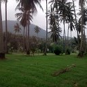 ��� ������������ �� ����� �������� ���������, ������ �� ����� � ������ ��� �������? 
����� �����: http://dengidomoy.ru/cent/ �� ������� ����