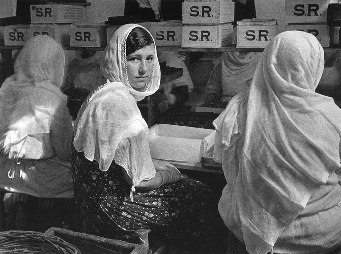 Alfred Eisenstaedt.   ,     ,   ... - 23