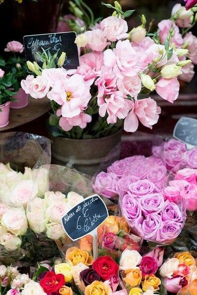    - 12  2015  13:33 - 6