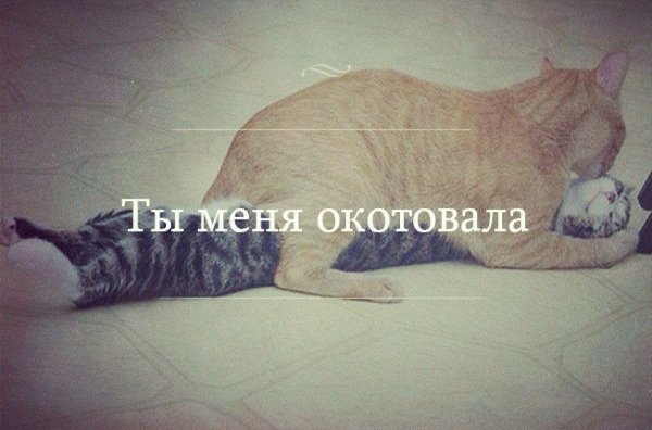    - 18  2015  19:40