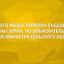 ���� �������, ������, 41 ��� - ��������� 11 ����� 2015 � ������ ������ ��������