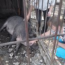 ���� �����, ���������, 42 ���� - ��������� 16 ������ 2015 � ������ ���� ����������