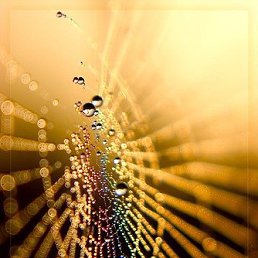 ��������, �����-�������, 35 ���