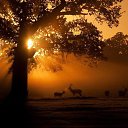 ���� �����, ����� - ��������� 28 ������� 2015 � ������ ���� ����������