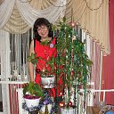  , , 57  -  6  2015       2015