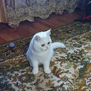 � ��� � � �� ����� �� ������� ��������