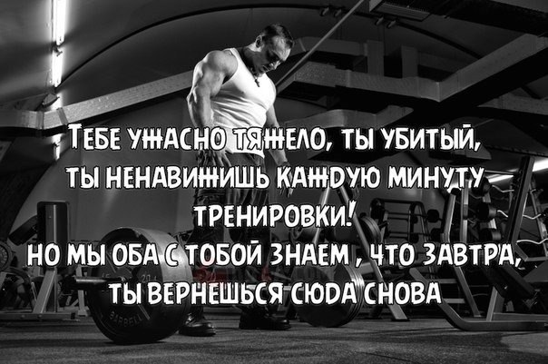 SportFeed - 21  2015  02:09