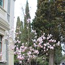  , , 60  -  1  2015   ,29.03.15.  