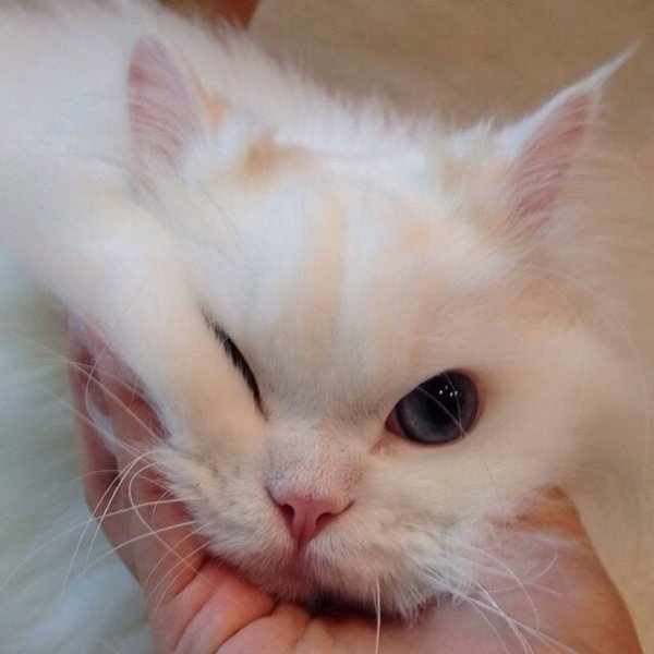 tumblr - 1  2015  20:42 - 2