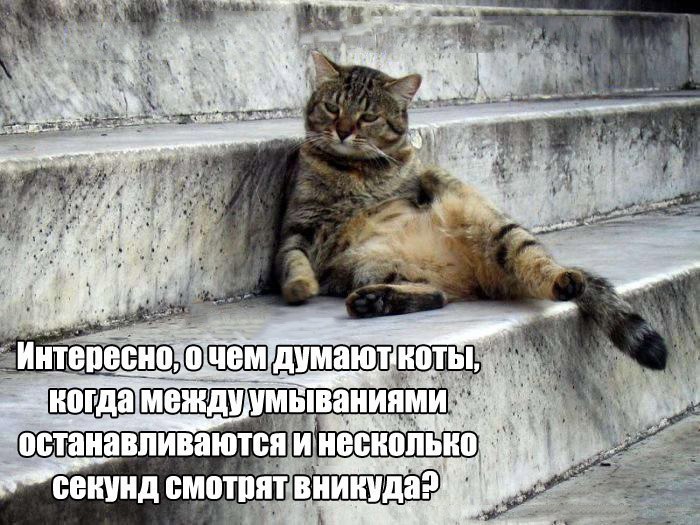       - 1  2015  04:04