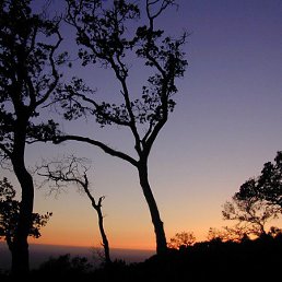 ���� �������, ���������, 42 ���� - ��������� 11 ������ 2015