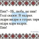 ���� ������, ������, 56 ��� - ��������� 8 ������ 2015 � ������ ������ ��������