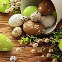 ���� ����, ������ - ��������� 6 ������ 2015 � ������ ������ �������