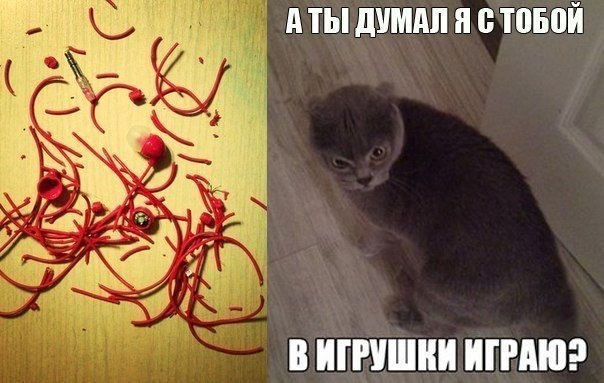   | , ,  - 21  2015  16:03