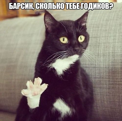       - 2  2015  16:04
