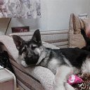 ������� �� ������� ���� ����������