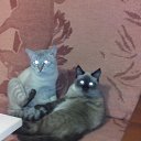 ���� Xorston, ������� - ��������� 20 ����� 2015 � ������ ���� ����������