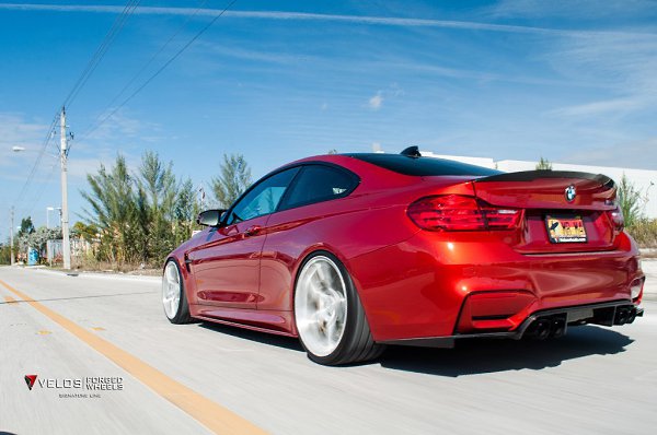 Hamann X6 - 2