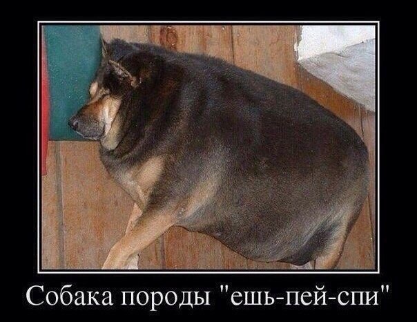 ������������ ���� - 16 ������ 2015 � 13:57