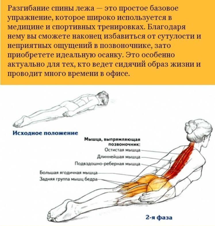 Болит бедро лежа. Упражнения на спину. Упражнения для мышц поясницы. Упражнения для укрепления спины. Упражнения и задействованные мышцы.