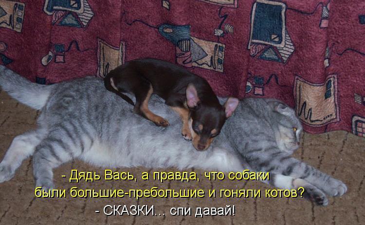 ))) - 24  2014  10:50