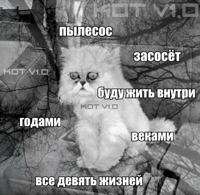  - 17  2015  11:32