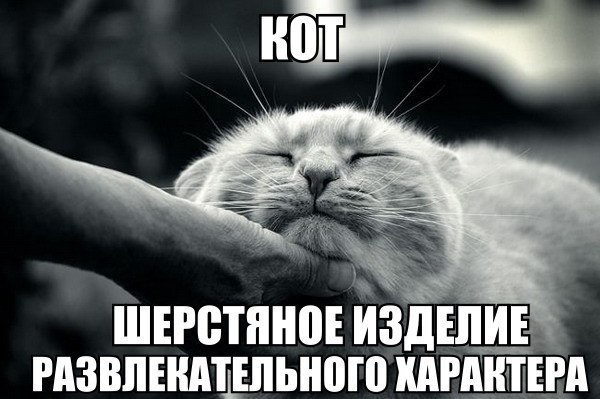       - 10  2015  17:31