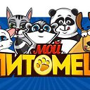 ���� ������� �������, �������, 29 ��� - ��������� 19 ������ 2015 � ������ ������ ��������