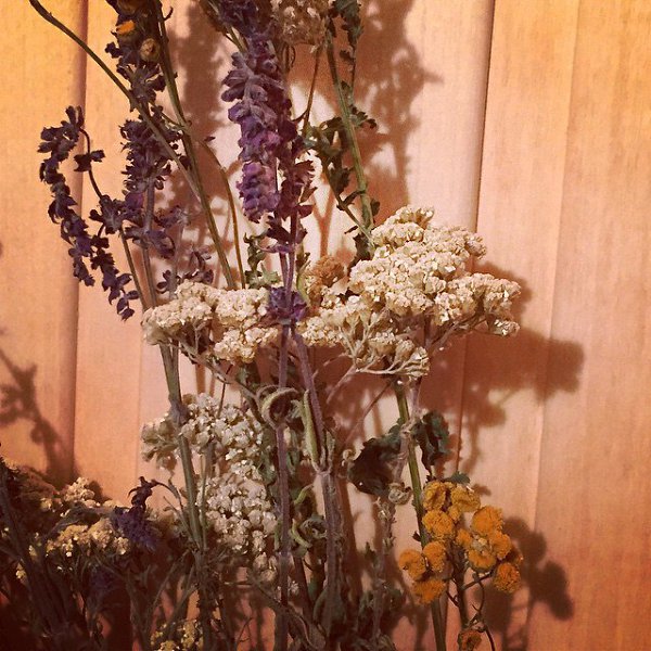 #����! �� �����, ��� ��� ���������... --- Russian #BANIA is better than anything else in this world