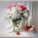 ���� �����!!������� ������, ������������ - ��������� 25 ������� 2015 � ������ �������� � ��� ������