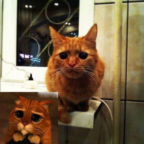  )))