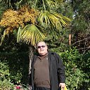  Andrew, , 65  -  11  2015    