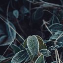 ���� ���������, ��������, 34 ���� - ��������� 8 ������ 2015 � ������ ����� 2�