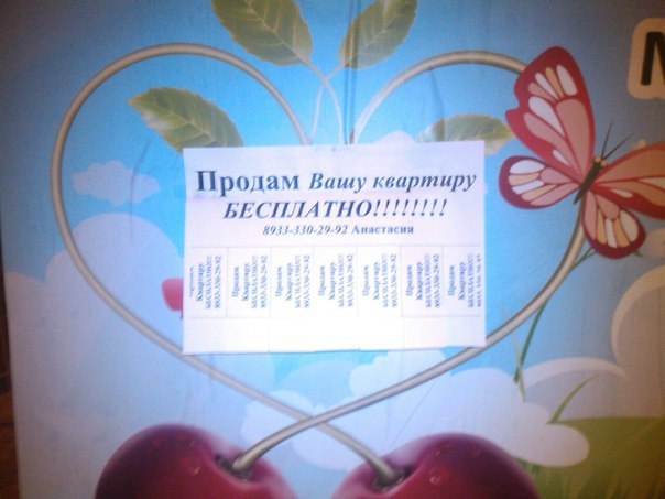     - 16  2015  12:41
