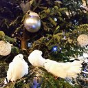 ���� Olga, ������, 63 ���� - ��������� 31 ������� 2014 � ������ �������