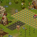 ���� ���������, ���� - ��������� 12 ������ 2015 � ������ �Tropikania�