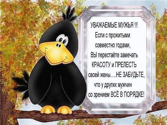  - 25  2015  09:52