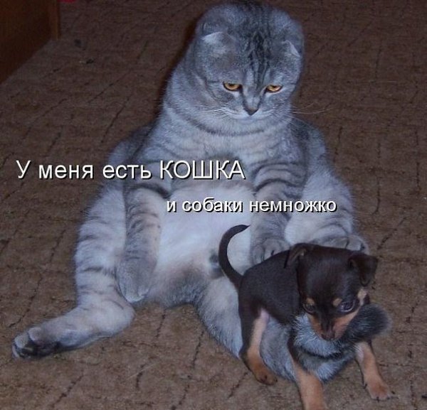      - 4  2015  07:02