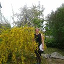 ���� �������, �����������, 51 ��� - ��������� 5 ����� 2015 � ������ ���� ����������