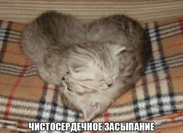  -  - 18  2015  19:21