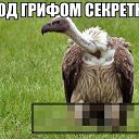 ���� ����, ������ �������� - ��������� 14 ������ 2015 � ������ ������ ��������