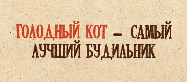       - 6  2015  19:31