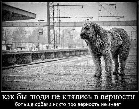  - 3  2015  19:13