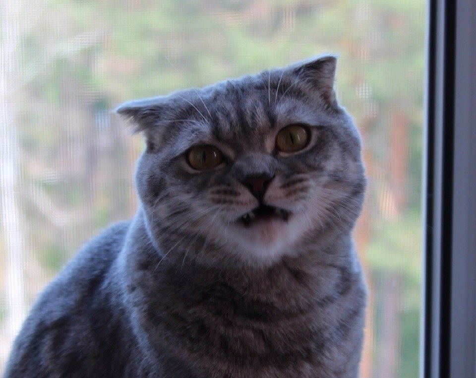 ˸ 