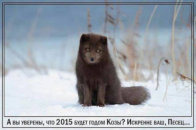 ))))))