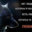 ���� ��������, ������, 62 ���� - ��������� 8 ����� 2015 � ������ ���� ����������