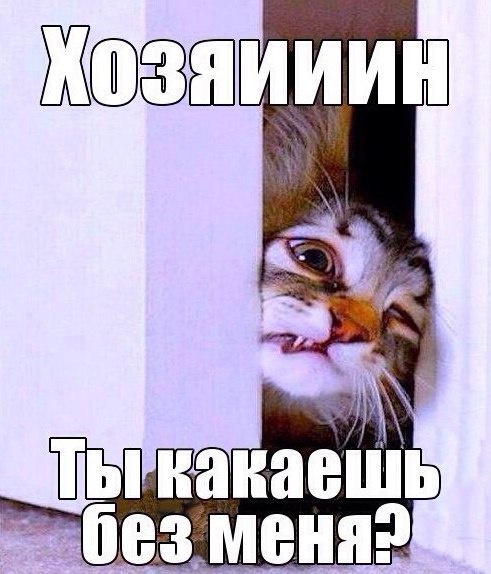    :-) - 1  2015  11:04