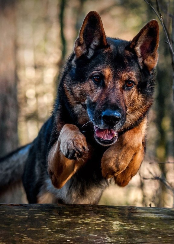   - 5  2015  02:01 - 3