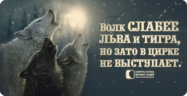     - 19  2015  22:19