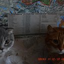 ���� ���������, �������-�����, 50 ��� - ��������� 4 ����� 2015 � ������ ������